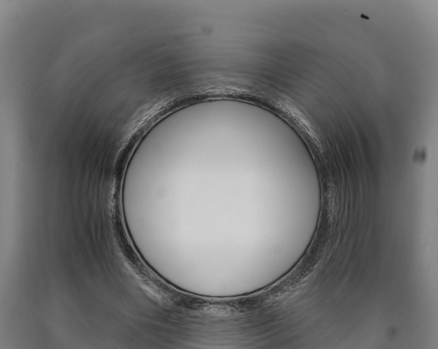 X0000090920490200707301057