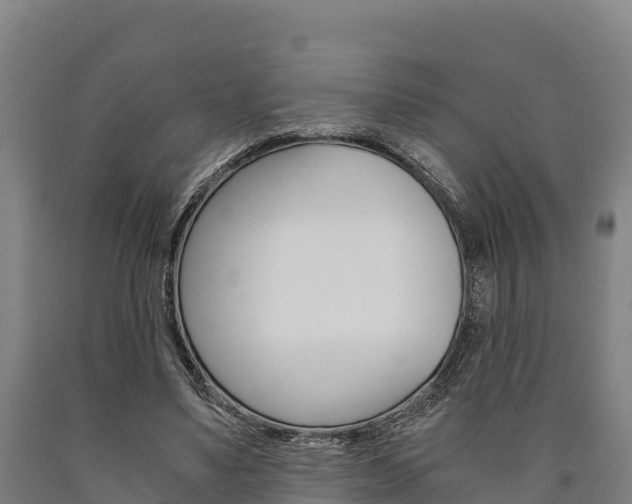X0000090920491200707301057