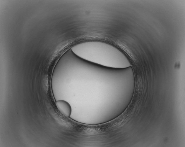 X0000090920494200707301057