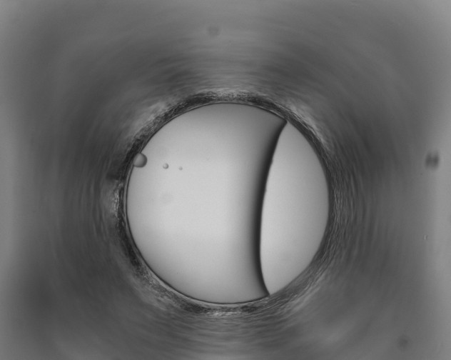 X0000090920495200707301057