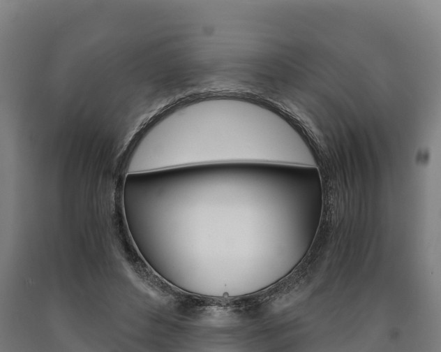 X0000090920496200707301057