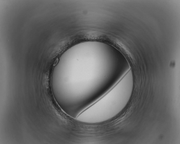 X0000090920497200707301057