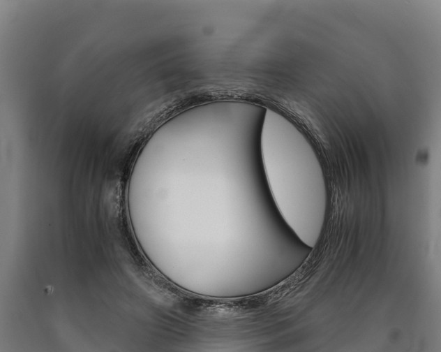 X0000090920498200707301057