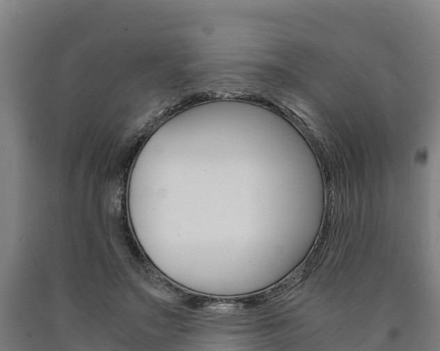 X0000090920499200707301057