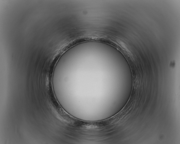 X0000090920500200707301057