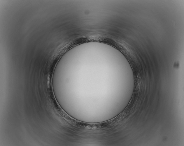X0000090920502200707301057