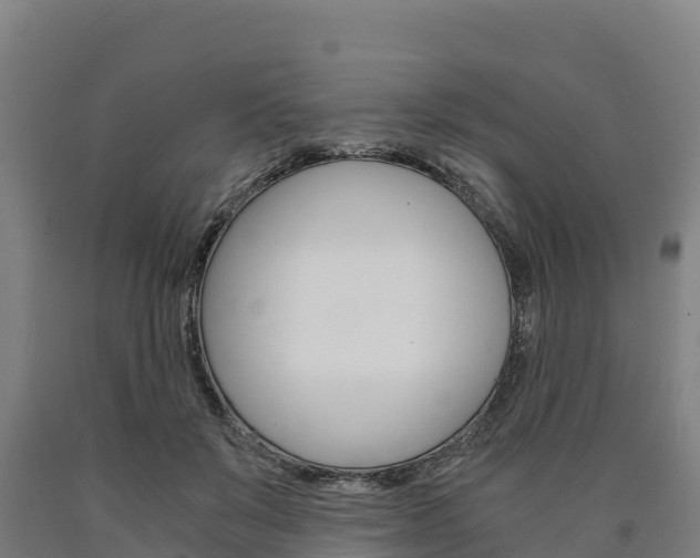 X0000090920503200707301057