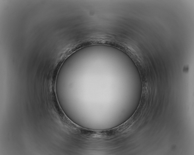 X0000090920504200707301057