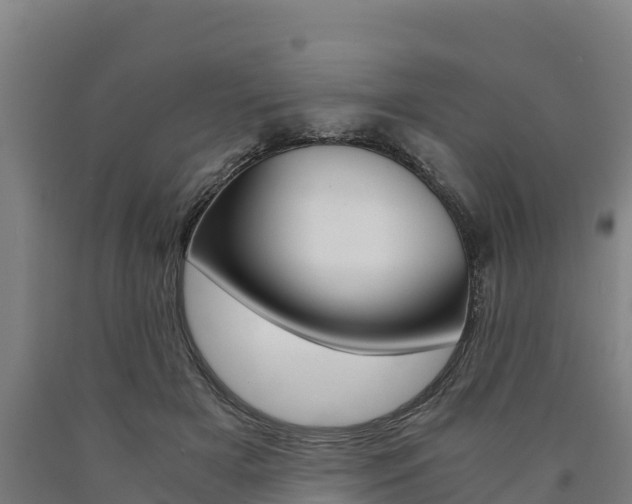 X0000090920505200707301057