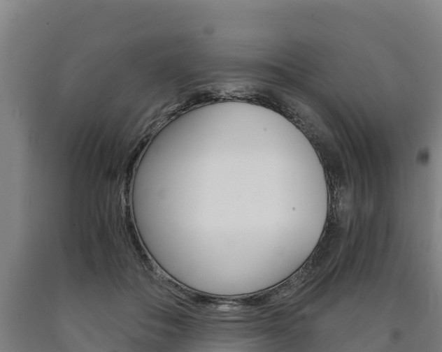 X0000090920506200707301057