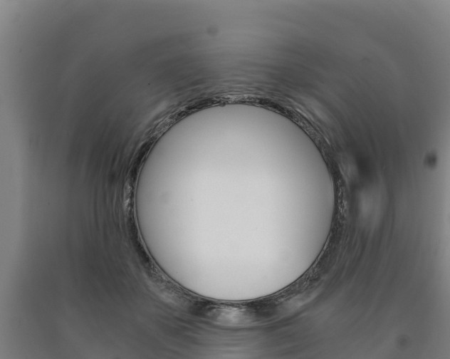 X0000090920507200707301057