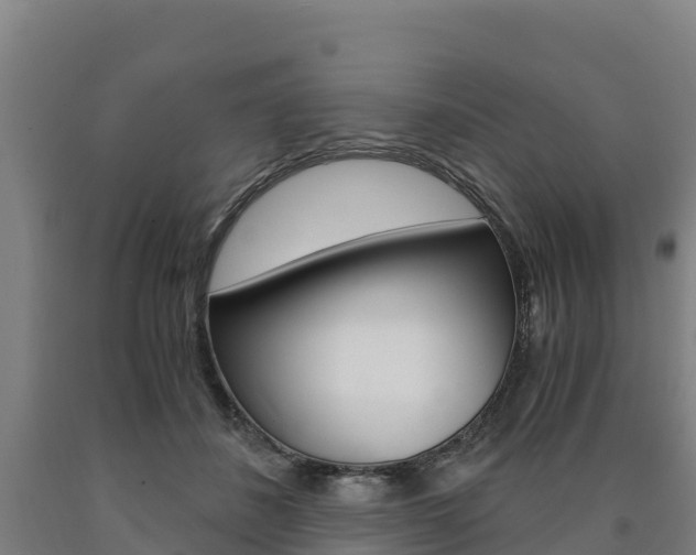 X0000090920508200707301057