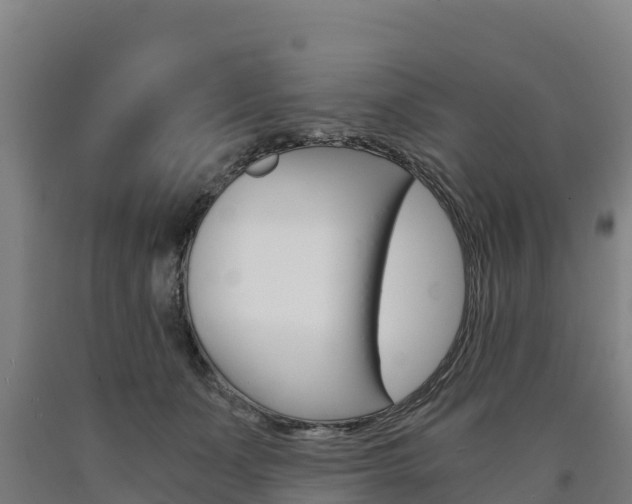 X0000090920511200707301056