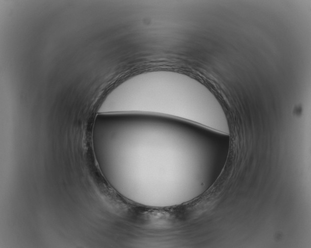 X0000090920512200707301056