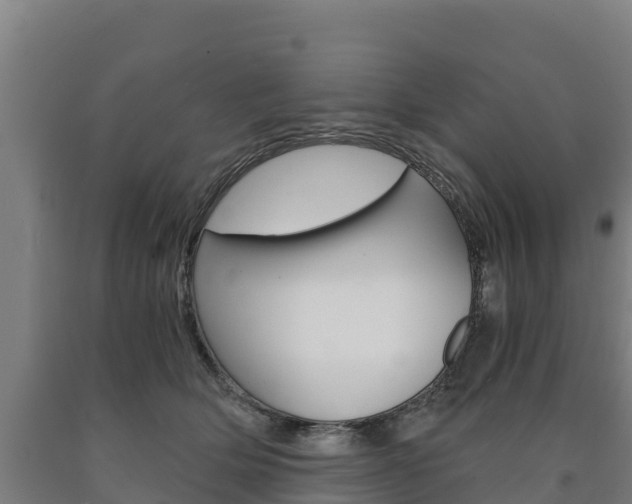 X0000090920514200707301056