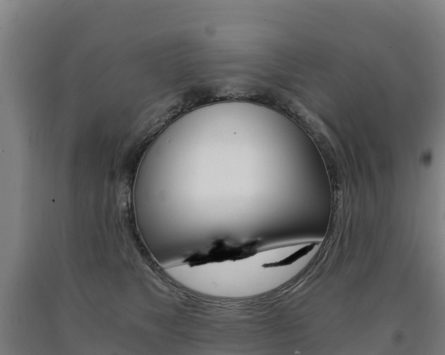 X0000090920517200707301056