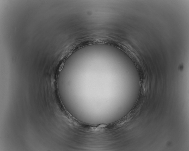 X0000090920520200707301056