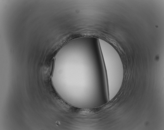 X0000090920521200707301056