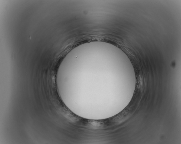 X0000090920522200707301056