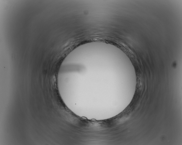 X0000090920523200707301056