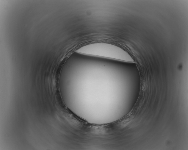 X0000090920524200707301056