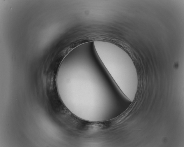 X0000090920525200707301056
