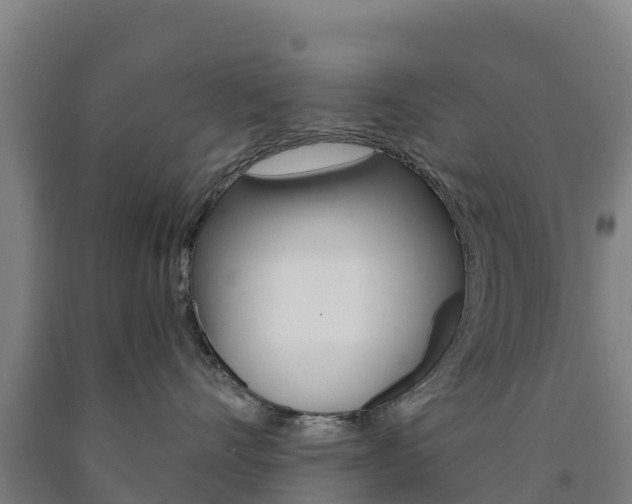 X0000090920528200707301056