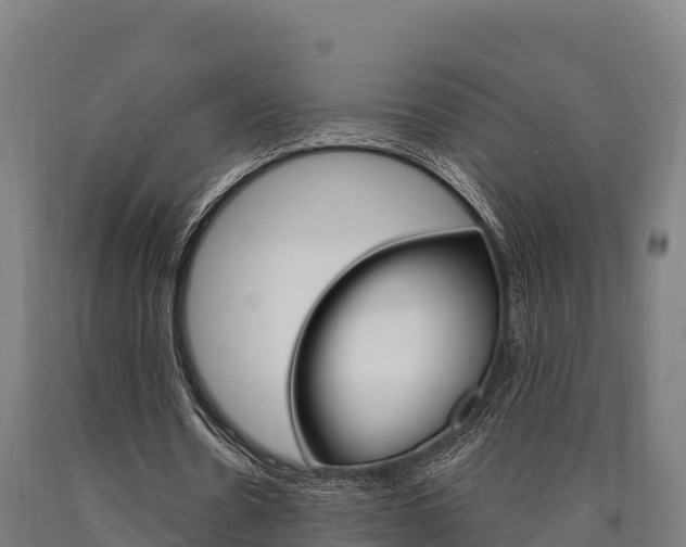 X0000090920530200707301055