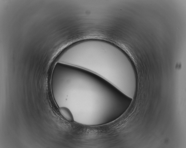 X0000090920531200707301055