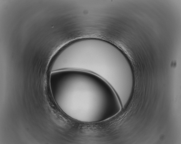 X0000090920532200707301055