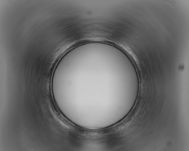 X0000090920533200707301055