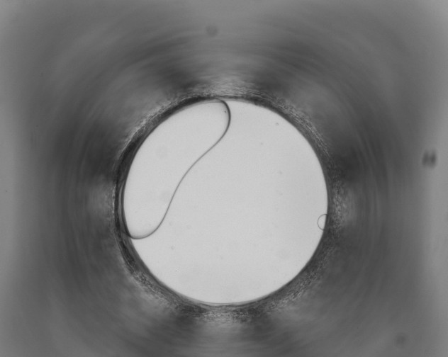 X0000090920534200707301055