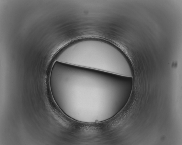 X0000090920535200707301055