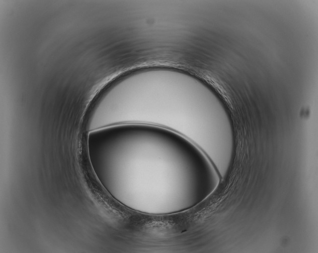 X0000090920536200707301056