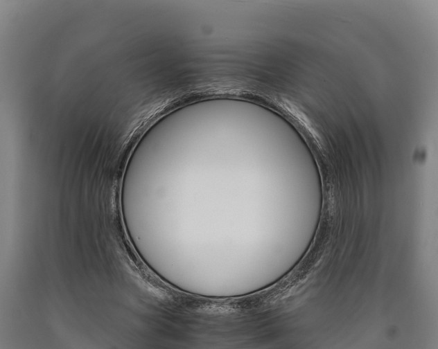 X0000090920537200707301056