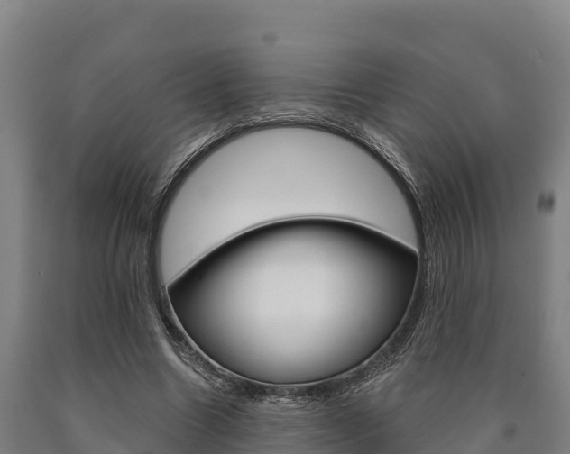 X0000090920538200707301056