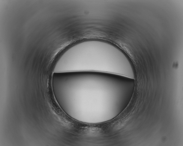 X0000090920539200707301056