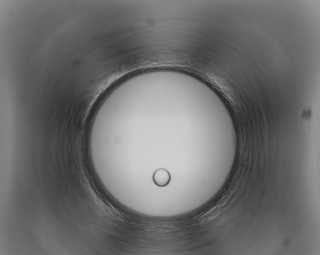 X0000090920540200707301056