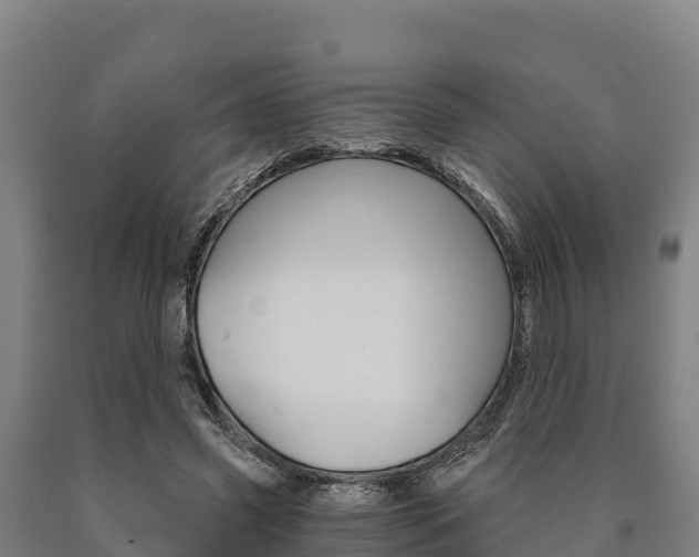 X0000090920541200707301056