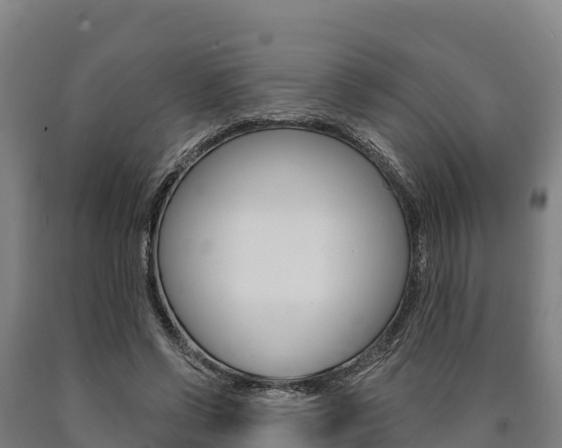 X0000090920542200707301056