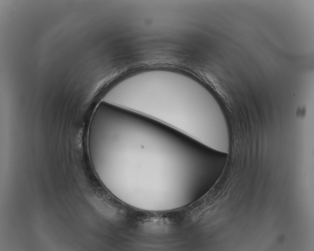 X0000090920543200707301056