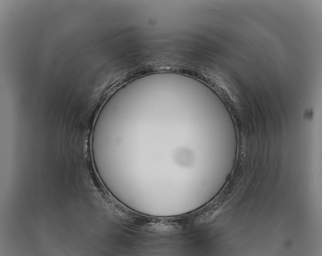 X0000090920545200707301056