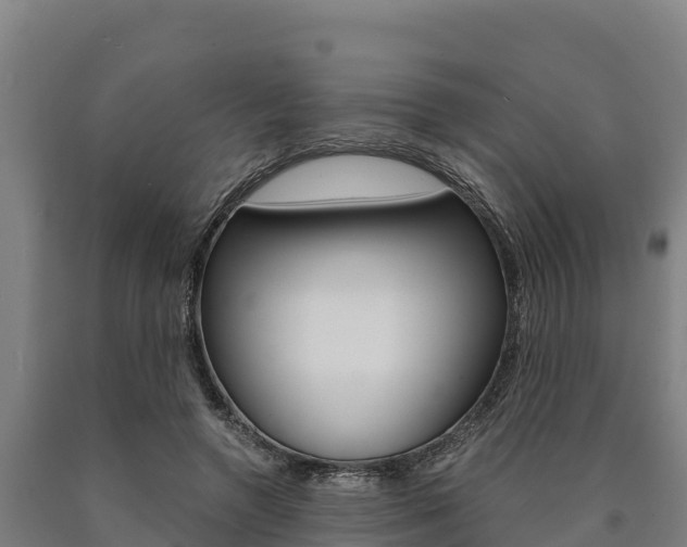 X0000090920546200707301056