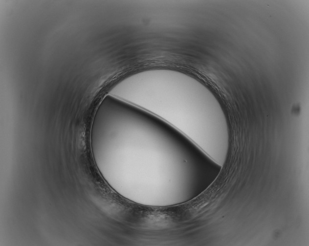X0000090920547200707301056