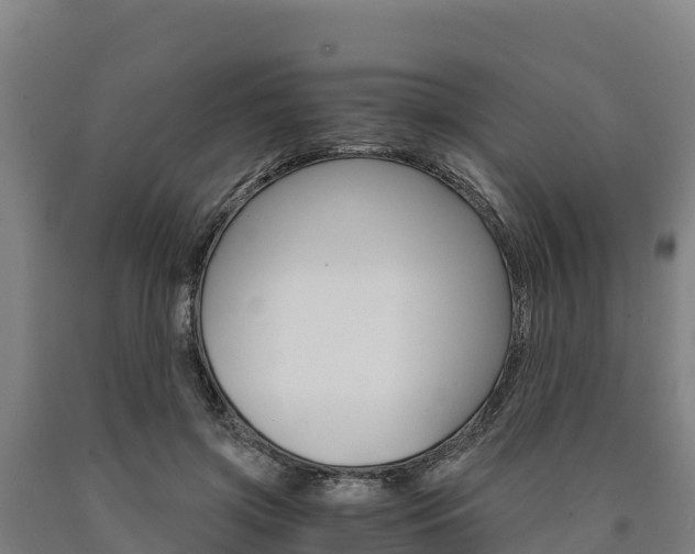 X0000090920549200707301056