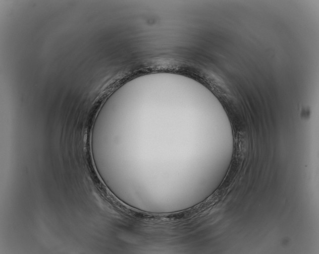 X0000090920550200707301056