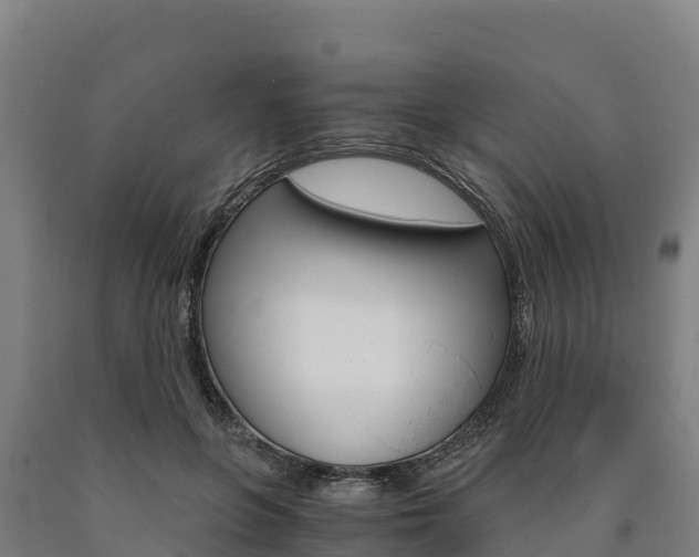 X0000090920551200707301056