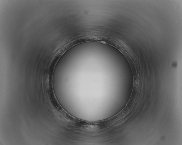 X0000090920552200707301056