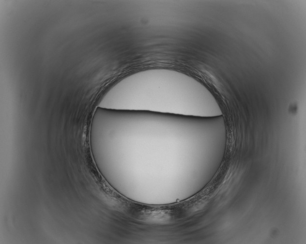 X0000090920553200707301056