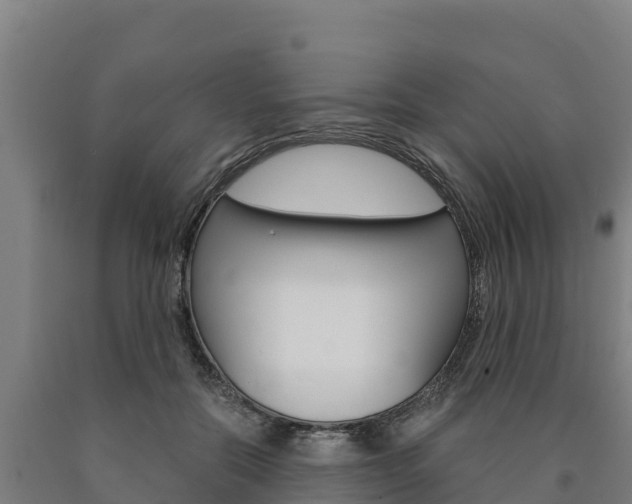 X0000090920554200707301056